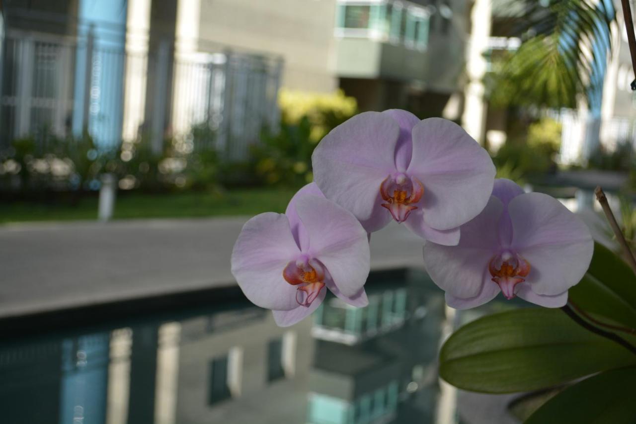 Sun Paradise - Jtr Apartment Maceio (Alagoas)